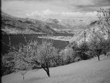 IR 011 panorama fiorito.jpg
